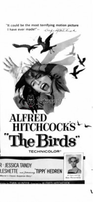 Ptaki Hitchcocka