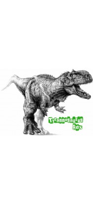 fototapeta dla dzieci 38 (Dinzaury - Tyranosaur)